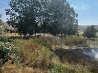 ELEKTRİK KABLOSUNDAN OT YANGINI ÇIKTI...