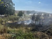 ELEKTRİK KABLOSUNDAN OT YANGINI ÇIKTI...