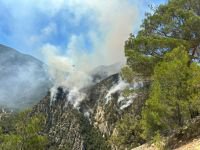 GÖYNÜK'TE ORMAN YANGINI DEVAM EDİYOR...