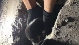 KANALİZASYON BORUSUNA SIKIŞAN KÖPEK KURTARILDI