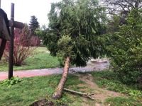 LODOS DOĞA HARİKASI GÖLCÜK TABİAT PARKI'NI YIKTI GEÇTİ