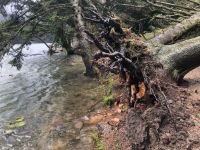 LODOS DOĞA HARİKASI GÖLCÜK TABİAT PARKI'NI YIKTI GEÇTİ