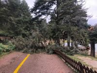 LODOS DOĞA HARİKASI GÖLCÜK TABİAT PARKI'NI YIKTI GEÇTİ