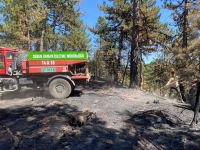 ORMAN YANGINI BÜYÜMEDEN SÖNDÜRÜLDÜ