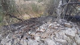 ORMAN YANGININDA KÖYLÜLERİN ERKEN MÜDAHALESİ...