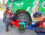 OTOBÜSE PAPAĞAN OPERASYONU