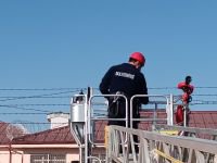 TELLERE TAKILAN KARGA YARALANDI... İTFAİYE KURTARDI