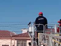 TELLERE TAKILAN KARGA YARALANDI... İTFAİYE KURTARDI