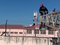 TELLERE TAKILAN KARGA YARALANDI... İTFAİYE KURTARDI