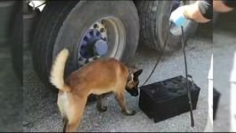 UYANIK UYUŞTURUCU TACİRLERİ..."PAKO" BULDU..