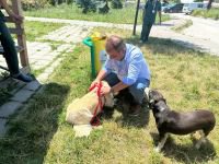 VEFALI YOLDAŞ EMİN ELLERDE...