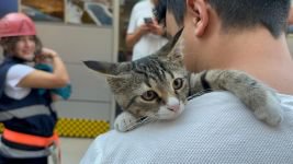 YARAMAZ KEDİNİN İMDADINA İTFAİYECİLER YETİŞTİ
