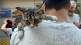 YARAMAZ KEDİNİN İMDADINA İTFAİYECİLER YETİŞTİ