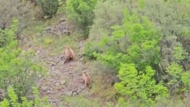 YAVRU AYILAR BÖYLE GÖRÜNTÜLENDİ...