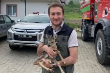 YAVRU KARACANIN İMDADINA YETİŞTİLER...