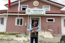 YAVRU KARACANIN İMDADINA YETİŞTİLER...