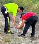 YÜRÜYÜŞÜN EN ANLAMLI OLAYI...