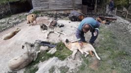 2 KATLI EVİ VE EŞYALARI KÜLE DÖNDÜ...  "ÇOK ŞÜKÜR KÖPEKLERE BİR ŞEY OLMADI, ONLAR BENİM DÜNYAM"