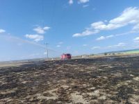 AKILLANMIYORUZ... YİNE BİR ANIZ YANGINI