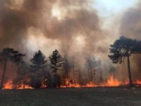 BİR SİGARA İZMARİTİYLE KÜLE DÖNMÜŞTÜ...YENİDEN CANLANDI