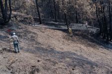 BOLU TARİHİNİN EN BÜYÜK YANGININ YARALARI SARILIYOR