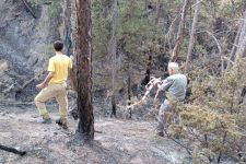 BOLU TARİHİNİN EN BÜYÜK YANGININ YARALARI SARILIYOR