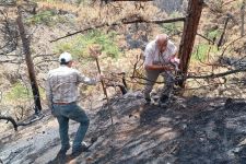 BOLU TARİHİNİN EN BÜYÜK YANGININ YARALARI SARILIYOR