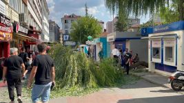 BOLU'DA BANKAMATİKLER SOKAĞINA AĞAÇ DEVRİLDİ... FACİADAN DÖNÜLDÜ... 1 YARALI