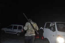 BOLU’DA ÇİFTÇİLERİN UYKULARINI KAÇIRAN DOMUZ KABUSU