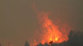 BOLU’DA ÇIKAN ORMAN YANGINI SAATLERDİR  SÖNDÜRÜLMEYE ÇALIŞILIYOR
