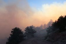 BOLU’DA ÇIKAN ORMAN YANGINI SAATLERDİR  SÖNDÜRÜLMEYE ÇALIŞILIYOR