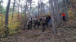 BOLU’DA FECİ KAZA...UÇURUMA YUVARLANAN OTOMOBİL ALEV ALEV YANDI... SÜRÜCÜ VE YOLCU YANARAK HAYATINI KAYBETTİ