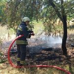 BOLU'DA KURU OTLAR ALEV ALEV YANDI