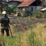 BOLU'DA KURU OTLAR ALEV ALEV YANDI