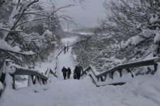 BOLU'NUN DOĞA HARİKASINI GÖRMEK İSTEDİLER: TRAFİK KİLİTLENDİ