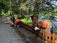 BOLU'NUN İNCİSİ GÖLCÜK BAŞTAN AŞAĞI YENİLENİYOR... MİLLİ PARKLAR SEFERBERLİK İLAN ETTİ...