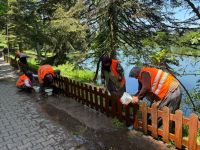 BOLU'NUN İNCİSİ GÖLCÜK BAŞTAN AŞAĞI YENİLENİYOR... MİLLİ PARKLAR SEFERBERLİK İLAN ETTİ...