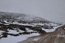 ÇAM AĞAÇLARININ YAPRAKLARI BUZ TUTTU