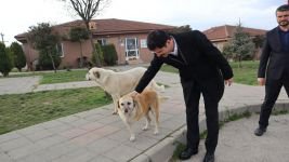 DEMİRKOL 