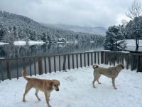 GÖLCÜK'TE KAR KALINLIĞI 10 SANTİMETREYE ULAŞTI