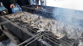 KARLAR ALTINDA HAMSİ VE HORON KEYFİ