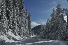 KIŞIN TADI ABANT'TA ÇIKARILIYOR... KAR, GÜNEŞ, MANZARA VE EĞLENCE ABANT'TA...