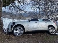 KONTROLDEN ÇIKAN CİP AĞACA ÇARPTI: 3 YARALI