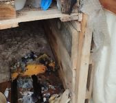 KÖPEK KULÜBELERİNİ ATEŞE VERDİ, TEPKİ GÖSTERENLERE DE BIÇAK ÇEKTİ