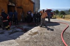 KÜMES ALEV ALEV YANDI... 20 BİN ADET CANLI CİVCİV TELEF OLDU