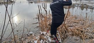 MAHSUR KALAN YAVRU KÖPEKLERİN İMDADINA İTFAİYE YETİŞTİ