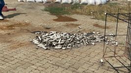 MANGAL KÖMÜRÜ ÜRETEN FABRİKA AZ KALSIN KÜLE DÖNÜYORDU