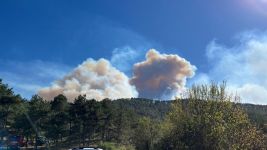 ORMAN YANGINI 2 SAATTİR SÖNDÜRÜLEMİYOR... 2 KÖY TAHLİYE EDİLDİ