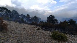 ÖRTÜ YANGINI ORMANA SIÇRAMADAN SÖNDÜRÜLDÜ