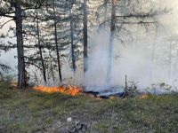 ÖRTÜ YANGININDA  2 DÖNÜMLÜK ALAN KÜL OLDU